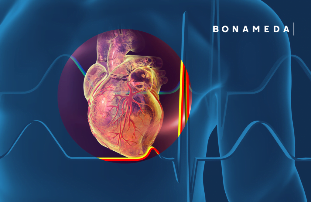 Žmogaus širdis ir kraujagyslių priežiūra